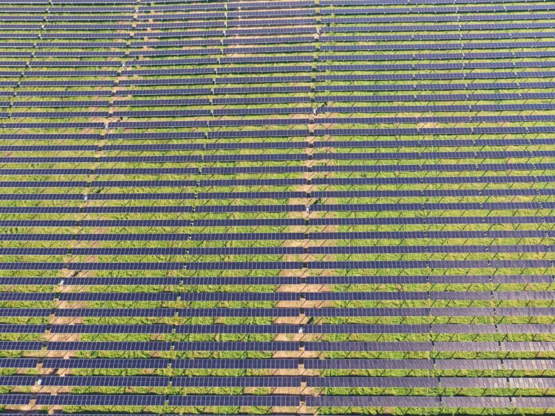 Bei Agri-PV ist darunter alles grün.