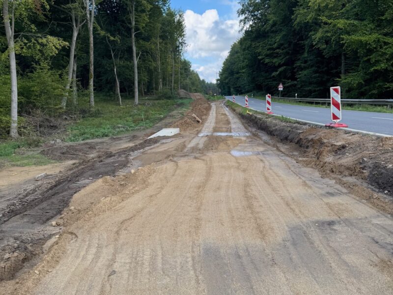 Der Wald wurde geöffnet, ein neues Ökoton entstand und nicht nur ein Radweg.