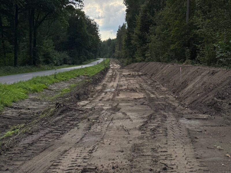 Waldöffnung für einen Radweg an einer schmalen Landesstraße, wodurch das Radfahren jetzt deutlich sicherer wird.