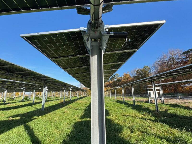 Grün o grün ist die Hühnerweide! Die Hühner sind geschützt vor Adler-Angriffen und finden durch die bewegten Module auch genug Grünfutter.