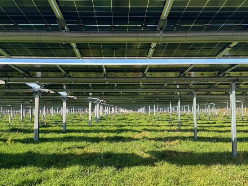 Schaut Euch diesen Auslauf an. Eine Hühner-Renn-Strecke.