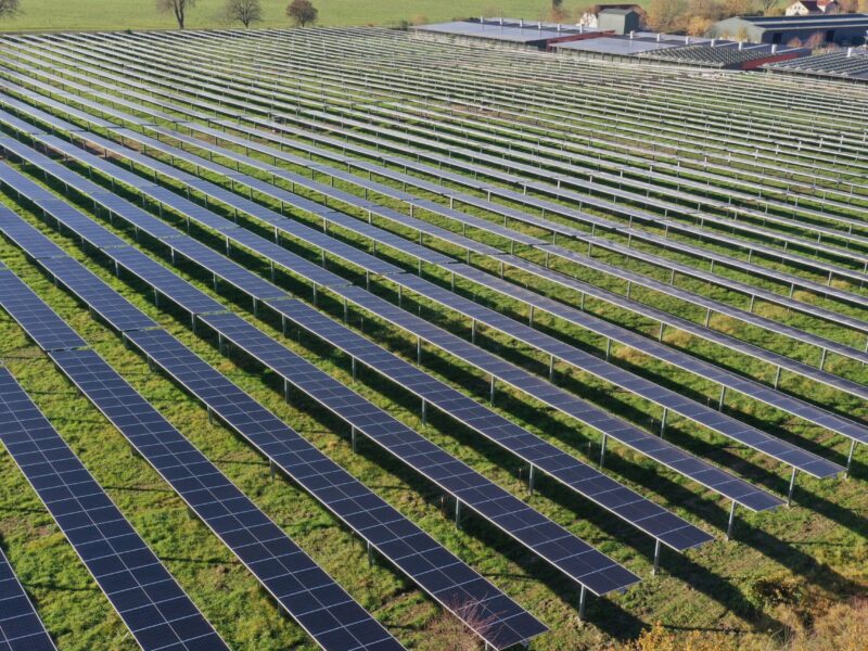 Agri-PV im Hühnerauslauf