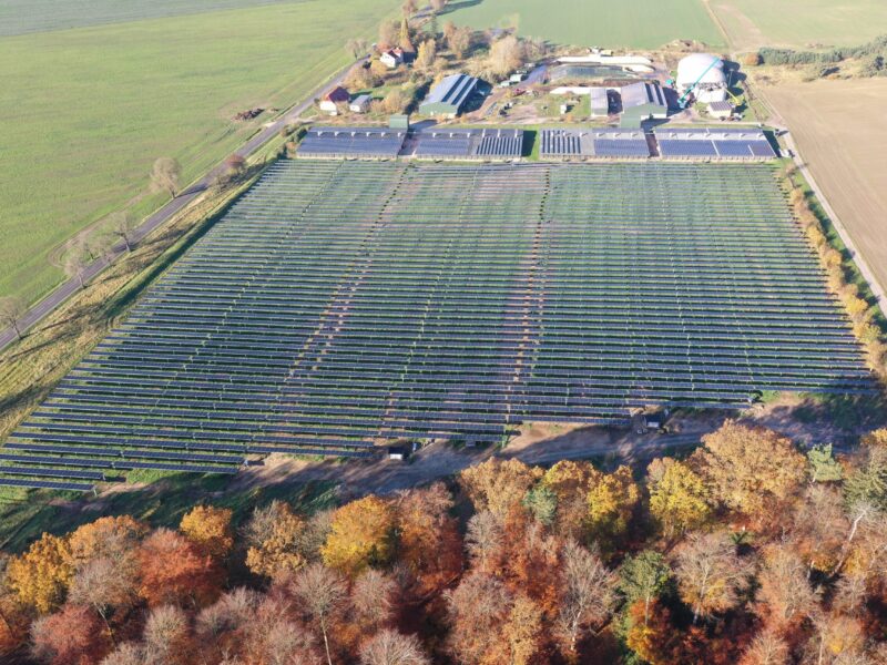 Angestellte Module wirken wie ein Dach und doch wandern sie mit der Sonne und deshalb ist darunter alles grün
